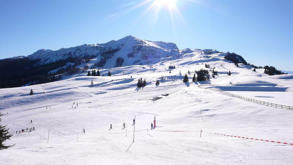 Ferienwohnung Blick Auf Die Berge Pidingerau Luaran gambar